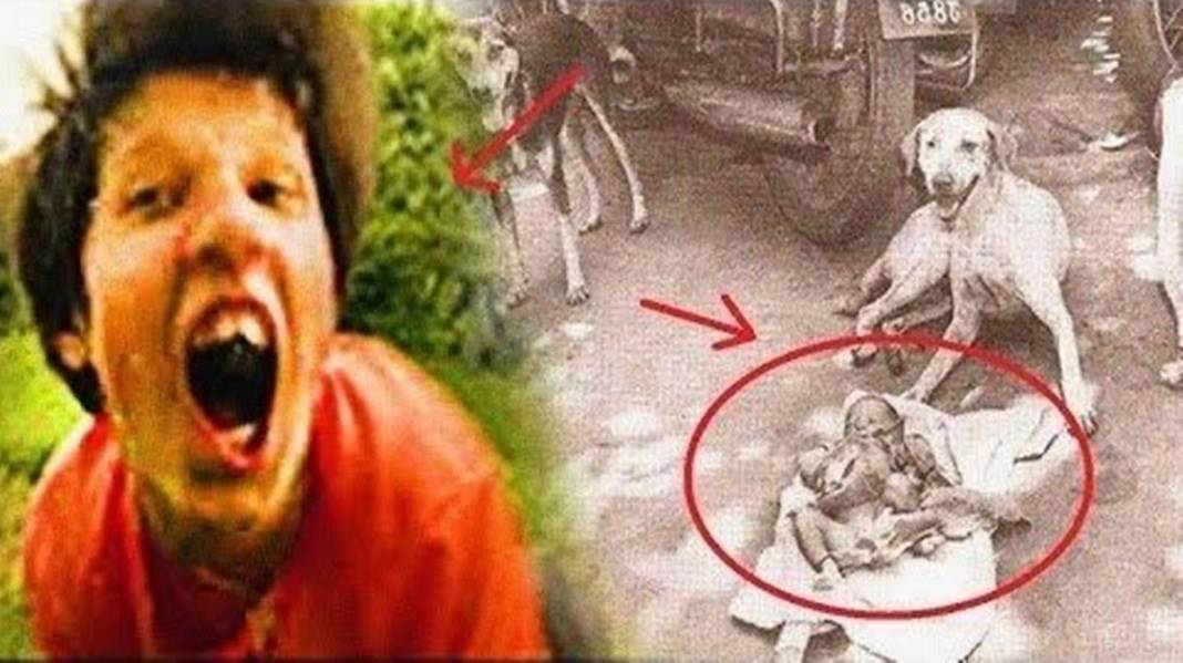 Köpekler tarafından büyütülmüştü, doktorlardan şoke eden rapor! Bir daha asla... 11